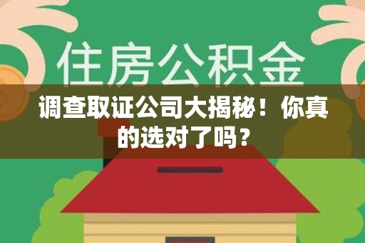 金门调查取证公司大揭秘！你真的选对了吗？