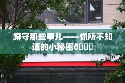 金门蹲守那些事儿——你所不知道的小秘密😎