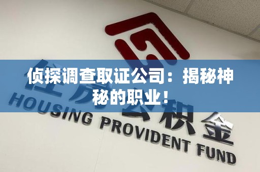 金门侦探调查取证公司：揭秘神秘的职业！