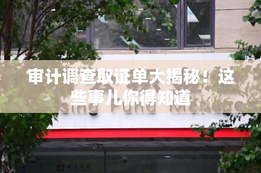 金门审计调查取证单大揭秘！这些事儿你得知道