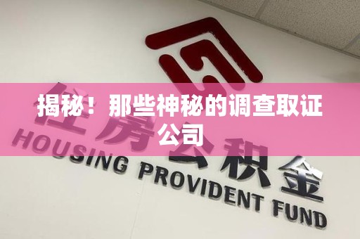 金门揭秘！那些神秘的调查取证公司