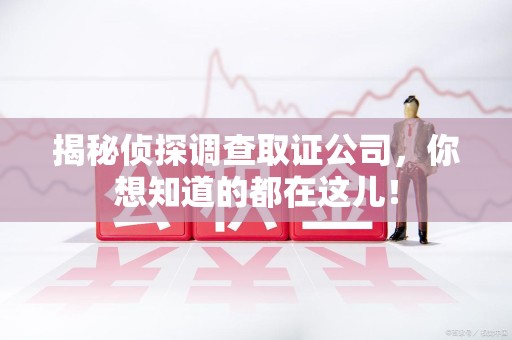 金门揭秘侦探调查取证公司，你想知道的都在这儿！