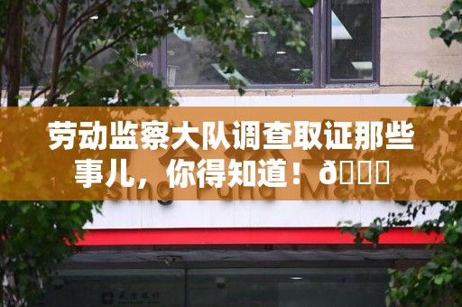 金门劳动监察大队调查取证那些事儿，你得知道！😎