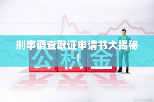 金门刑事调查取证申请书大揭秘！