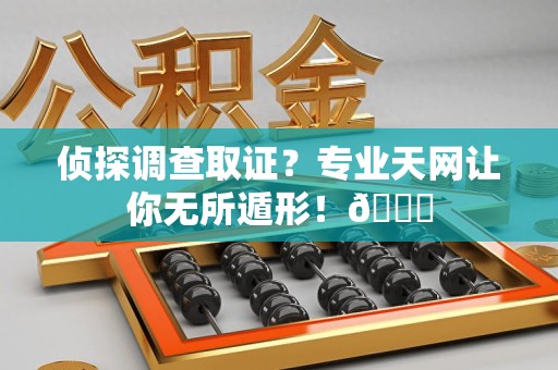 金门侦探调查取证？专业天网让你无所遁形！😎