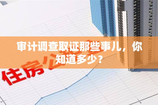 金门审计调查取证那些事儿，你知道多少？