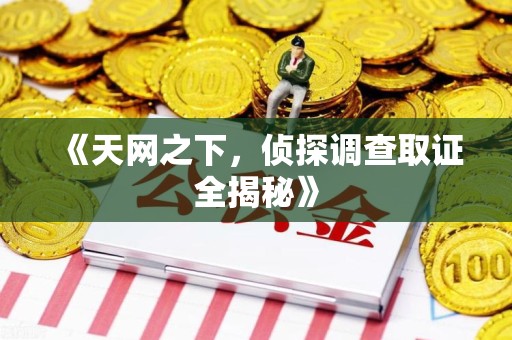 金门《天网之下，侦探调查取证全揭秘》