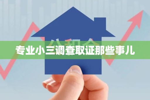 金门专业小三调查取证那些事儿