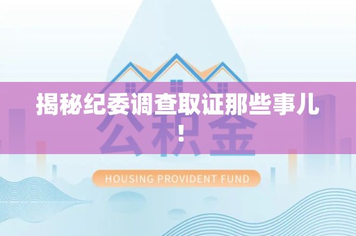 金门揭秘纪委调查取证那些事儿！
