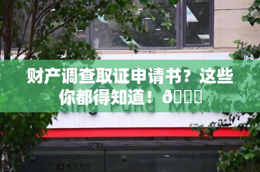 金门财产调查取证申请书？这些你都得知道！😎