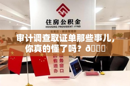 金门审计调查取证单那些事儿，你真的懂了吗？😎